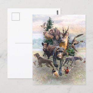 Carte Postale Pointeur À poils durs allemand