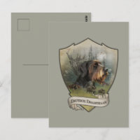 Pointeur À poils durs allemand