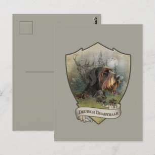 Carte Postale Pointeur À poils durs allemand