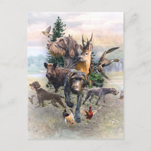 Carte Postale Pointeur À poils durs allemand