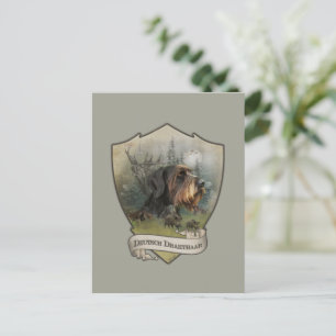 Carte Postale Pointeur À poils durs allemand, Chasse au sanglier