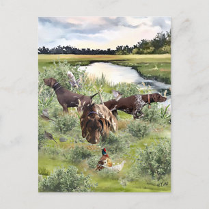 Carte Postale Pointeur court allemand
