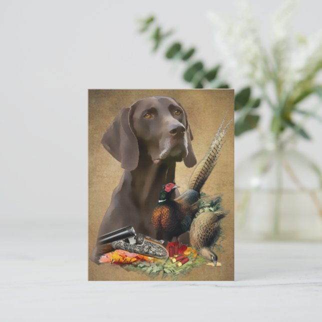 Carte Postale Pointeur Raccourci allemand GSP (Debout devant)