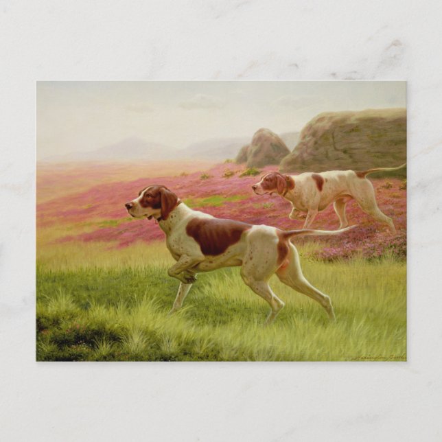 Carte Postale Pointeurs dans un paysage, 19ème siècle (Devant)