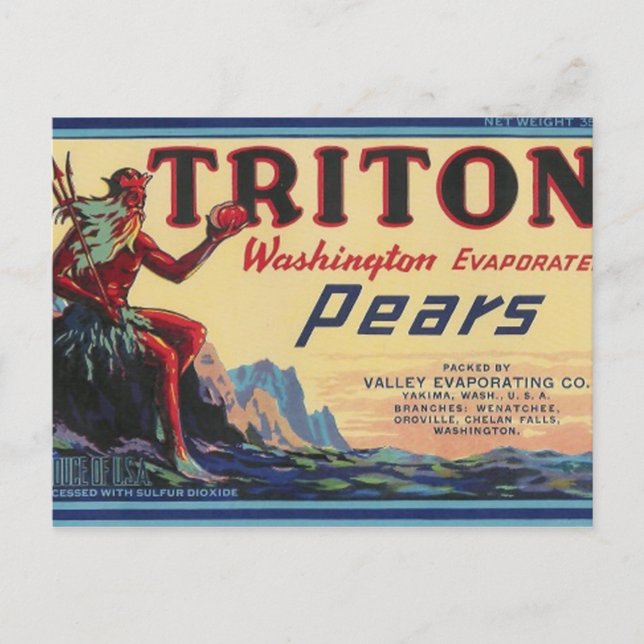 Carte Postale poires triton (Devant)