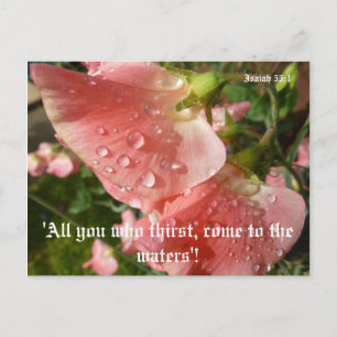 Carte Postale Pois doux