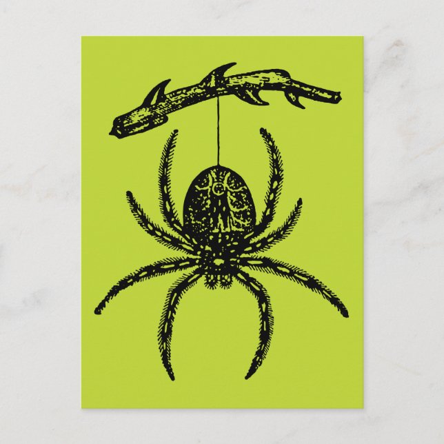 Carte postale Poison Green Spider (Devant)