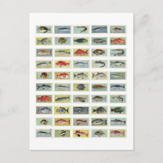 Carte Postale Poisson africain