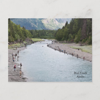 Carte Postale Poisson Alaska !