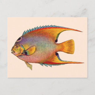 Carte Postale poisson-ange