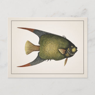 Carte postale poisson-ange - Style I
