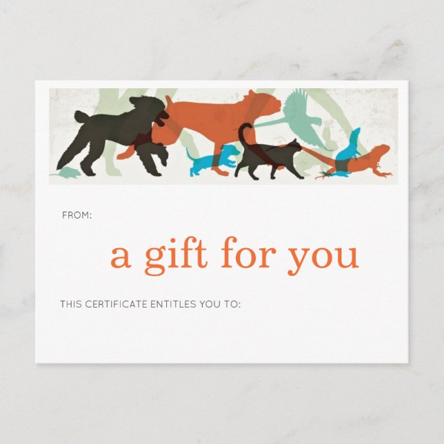 Carte Postale Poisson Bain Oiseaux Voler Chiens Marcher Animaux  (Devant)