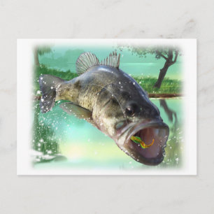Carte Postale poisson basse