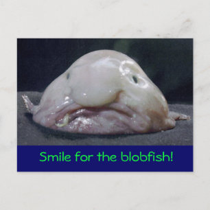 Carte Postale poisson bizarre