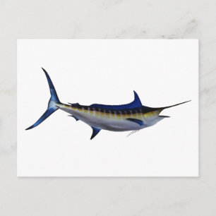 Carte Postale Poisson bleu Marlin