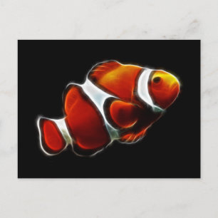 Carte Postale Poisson clown tropical orange