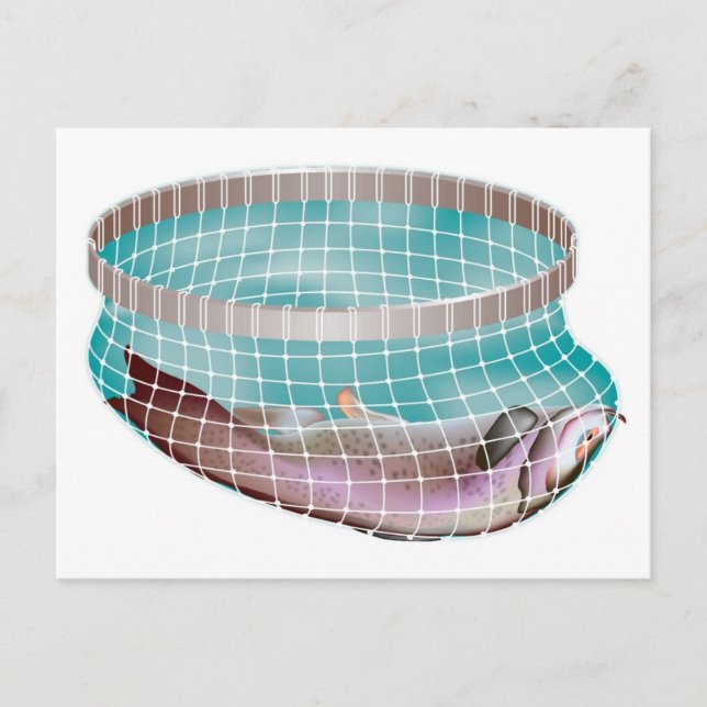 Carte Postale Poisson dans le filet (Devant)