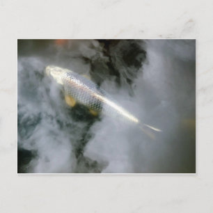 Carte Postale Poisson d'argent dans l'eau et les nuages