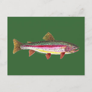 Carte Postale Poisson de truite arc-en-ciel