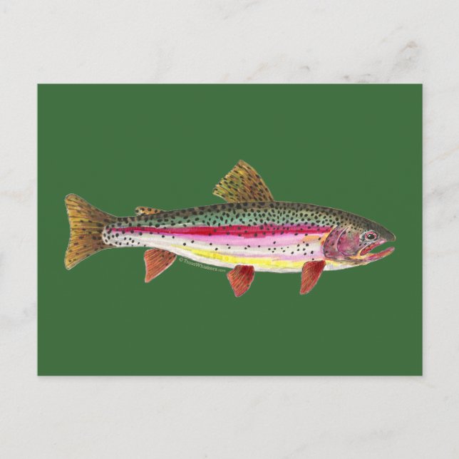 Carte Postale Poisson de truite arc-en-ciel (Devant)