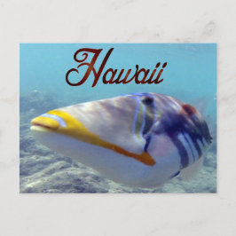 Carte Postale Poisson d'État d'Hawaï - Humuhumunukunukuapua'a