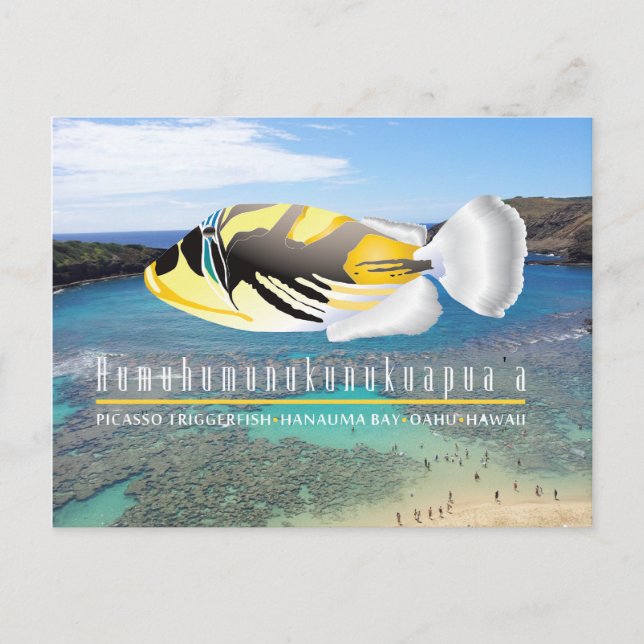 Carte Postale Poisson d'État d'Hawaï - Humuhumunukunukuapua'a (Devant)
