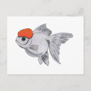 Carte Postale Poisson d'or blanc et orange Oranda Aquarium Poiss