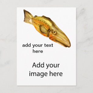 Carte Postale poisson en bois