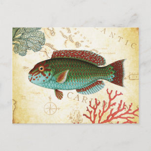 Carte Postale Poisson et corail des Caraïbes colorés tropicaux