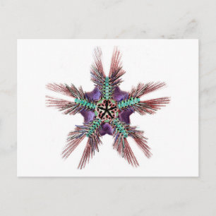 Carte Postale Poisson étoilé aux armoiries en plumes