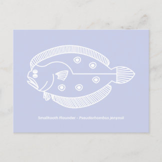 Carte Postale Poisson flet amusant en blanc sur fond violet clai