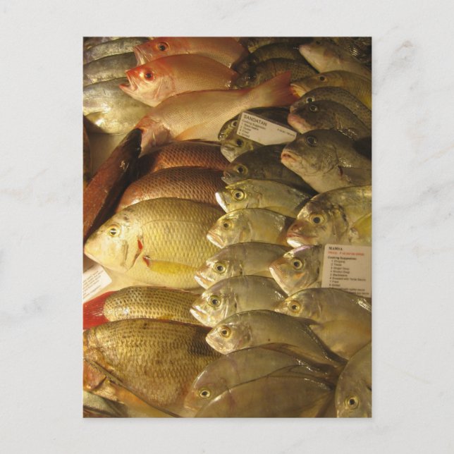 Carte Postale Poisson frais (Devant)