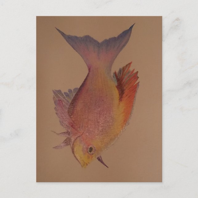 Carte Postale Poisson Iridescendant (Devant)