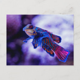 Carte Postale Poisson Mandarin Goby