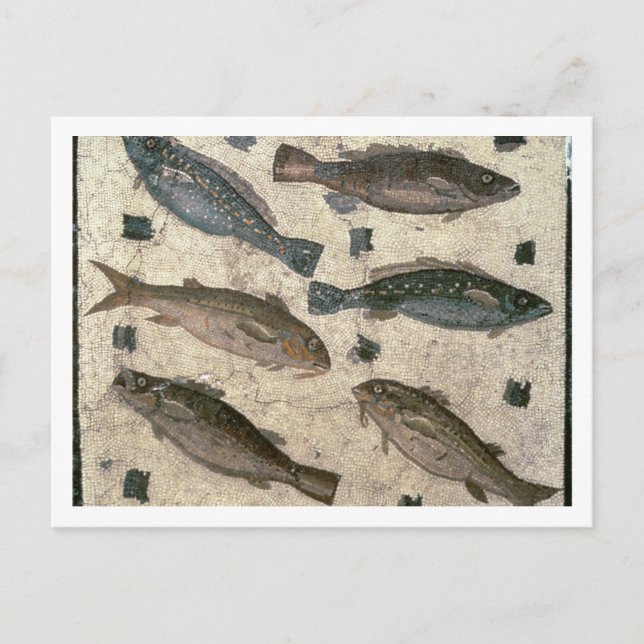 Carte Postale Poisson (mosaïque) (Devant)