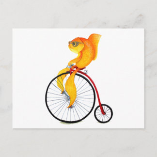 Carte Postale Poisson Penny Farthing