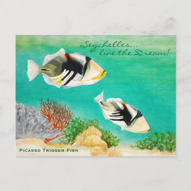 Carte Postale Poisson Picasso (Devant)