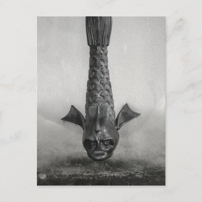 Carte Postale Poisson Pluie Spout à Savannah, Ga. (Devant)