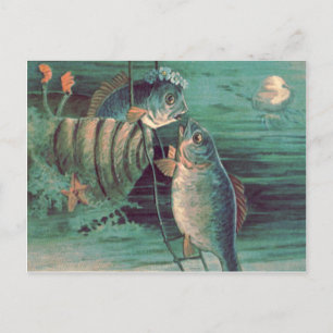 Carte Postale Poisson Roméo et Juliet Jellyfish Starfish