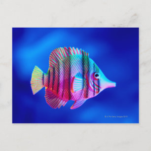 Carte Postale Poisson tropical