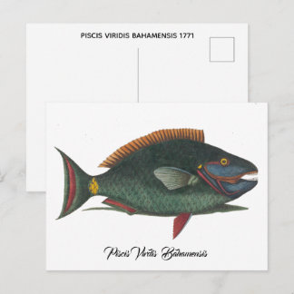 CARTE POSTALE POISSON VERT DES BAHAMAS 1771
