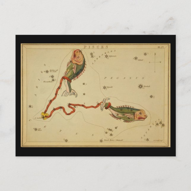 Carte Postale Poissons (Devant)