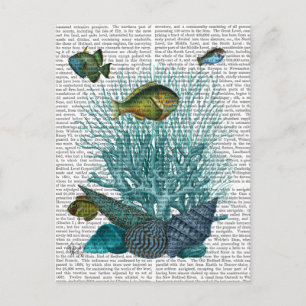 Carte Postale Poissons Bleus Coques et Coraux