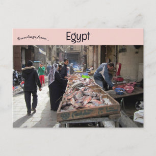 Carte Postale Poissons dans le vieux quartier islamique du Caire