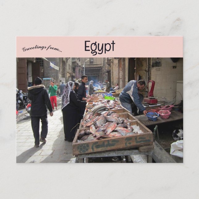 Carte Postale Poissons dans le vieux quartier islamique du Caire (Devant)