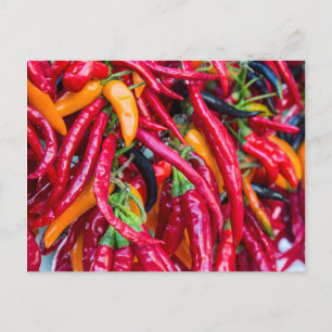 Carte Postale Poivrons Forts Au Marché Des Producteurs à Madison