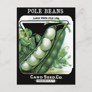 Carte Postale Pole haricots Vintage semis Lima Garden Légumes