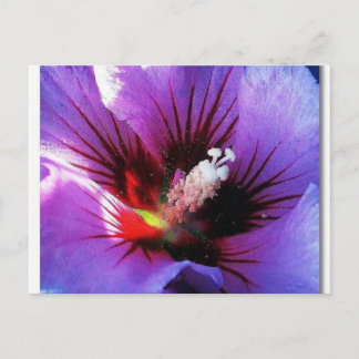 Carte Postale pollen revisité