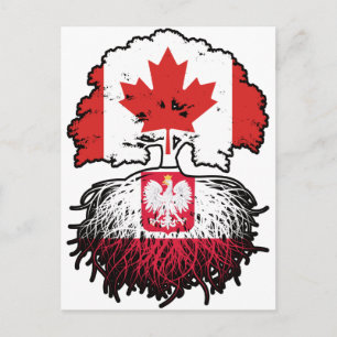 Carte Postale Pologne Canadien Polonais Canada Arbre Racines Dra
