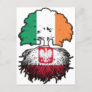 Carte Postale Pologne Pologne Irlande Irlande Arbre drapeau